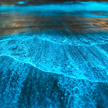 Untitled design (4).png