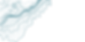 Transparent Background Texture3.png