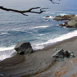 10 Must-Do Activities in Tofino, BC: Your Guide to Exploring this Stunning Coastal Town