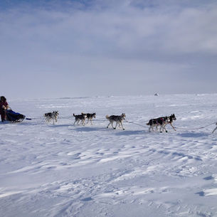 Lisbet's 2014 Iditarod Part XIV: The Most Comfortable Floor in the World