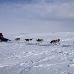 Lisbet's 2014 Iditarod Part XIV: The Most Comfortable Floor in the World