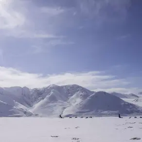 5 Reasons Why You Should Visit the Alaskan Arctic