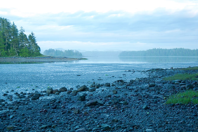 Tofino Camping adventure