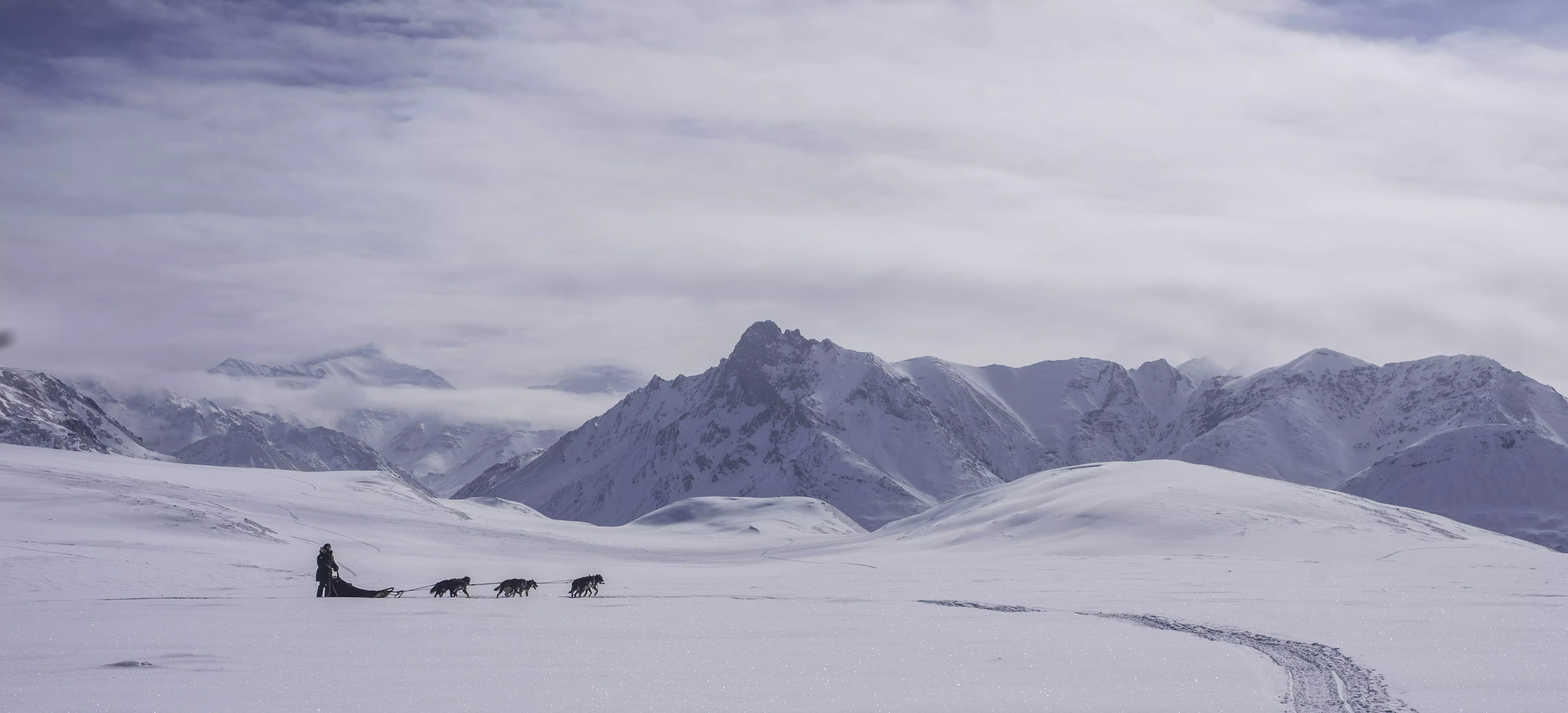 mushing near gate of the arctic park.webp