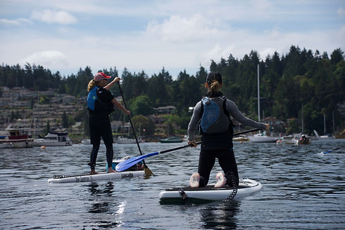 stand up paddleboarding the harbour.jpeg
