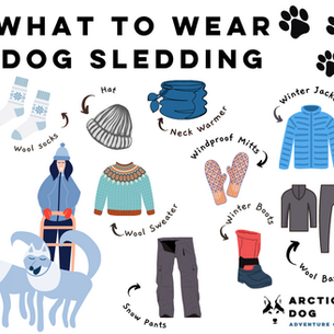What to Wear on a Dog Sledding Day Tour