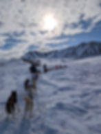 Being fit ensures you can enjoy full days of mushing like this ⬆️ on our Arctic Basecamp.