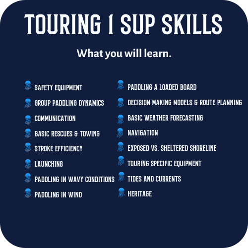 What you will learn in a Touring 1 SUP Skills Course