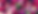 Bloom up (1).png