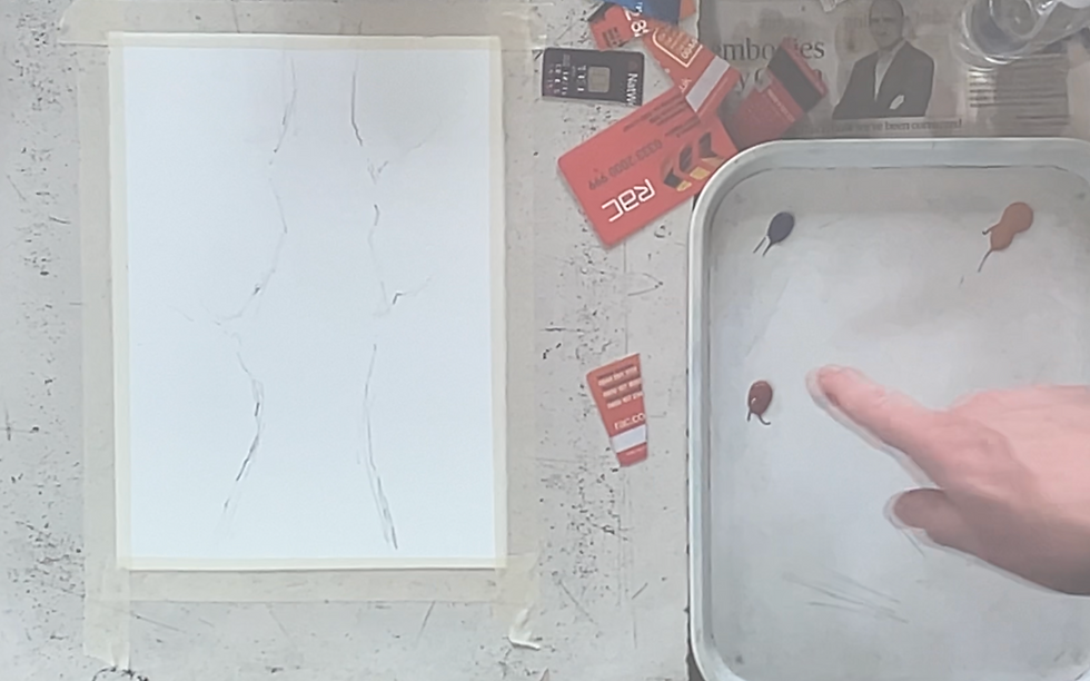 Cut Credit card & Colours used