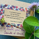 IMG-20230608-WA0015(1).jpg