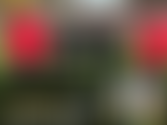 Ray Parlour visits FA Cup underdogs with Carling