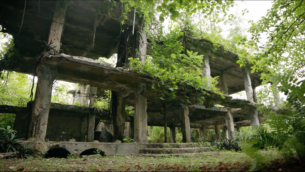Peleliu clip 720p.mov