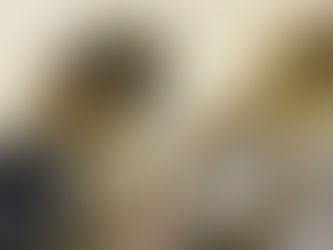 scavenger images