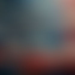 PRESIDENTIAL ETIQUETTE 