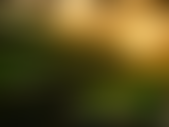 Terraponics: The Future of Sustainable Food Production Part 1