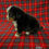 Thumbnail: Asher ( Reserved )