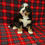 Thumbnail: Dolly  (Reserved)