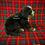 Thumbnail: Raven ( Reserved )