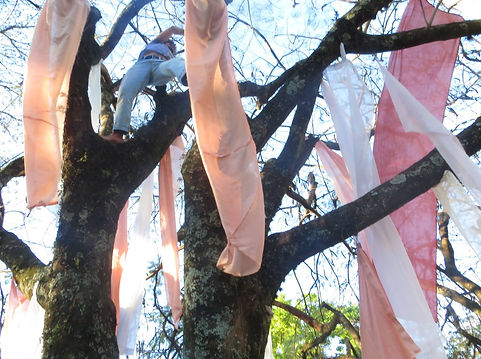 1274051_10201284099957898_312914801_o.jp