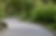 PHM - Race - IG WS-TN .png