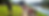 MMTR - FW Race Page Header - WS.png