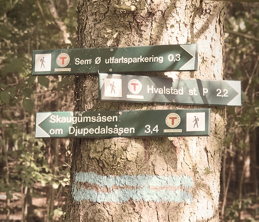 20190913_141410_edited.jpg