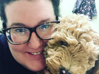 Lindsey’s top 5 tools for at-home dog grooming