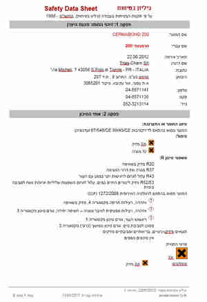 דוגמת עמוד ראשון, גליון ארוך