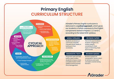 P3 - P6 _ landscape Curriculum Structure (English).jpg