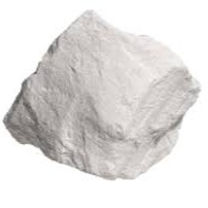 Diatomaceous Earth