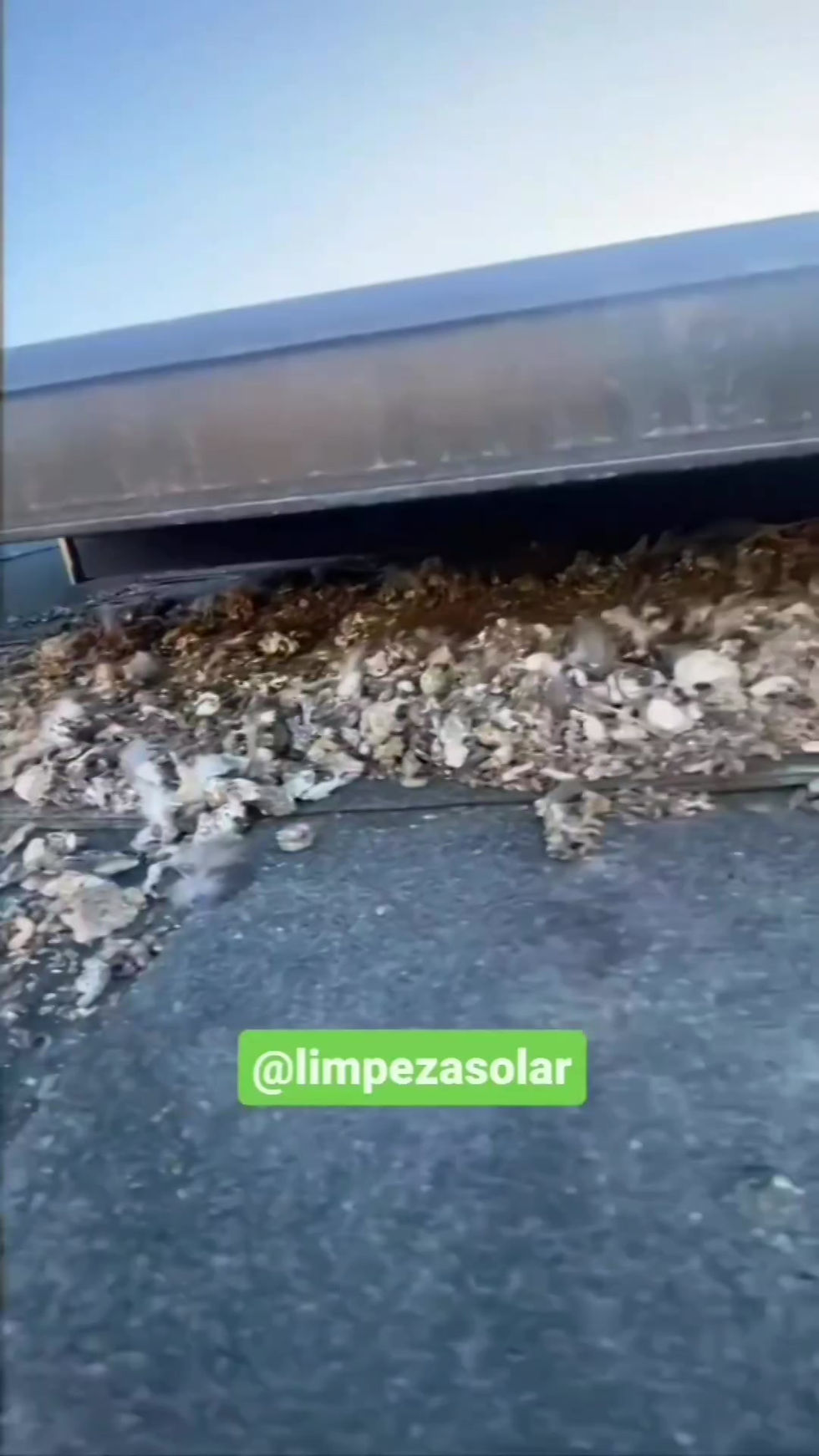 Miniatura: Grampos de Fixação Para Tela Solar para Proteção de Pássaros no Painel Solar