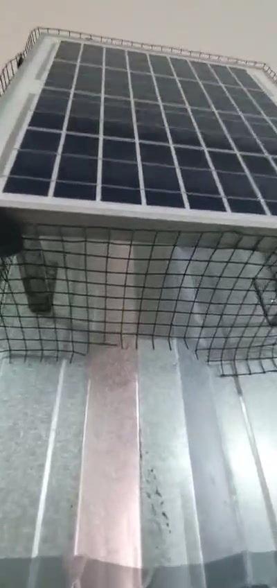 Miniatura: Tela de Proteção para Placa Solar Evita Ninhos de Morcegos e Pombos