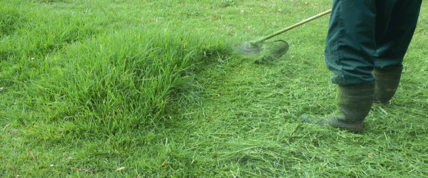 roçadeira stihl bh.gif