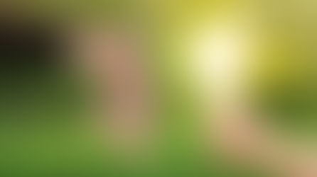 Como Funciona Franquia Energia Solar Quanto Custa Franquia