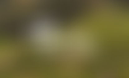 Absolar Meeting Sul vai discutir reforma do setor elétrico