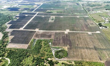 Gerdau e Newave vão construir UFV de 452 MWp em Goiás