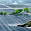 Miniatura: Reciclagem Painel Solar