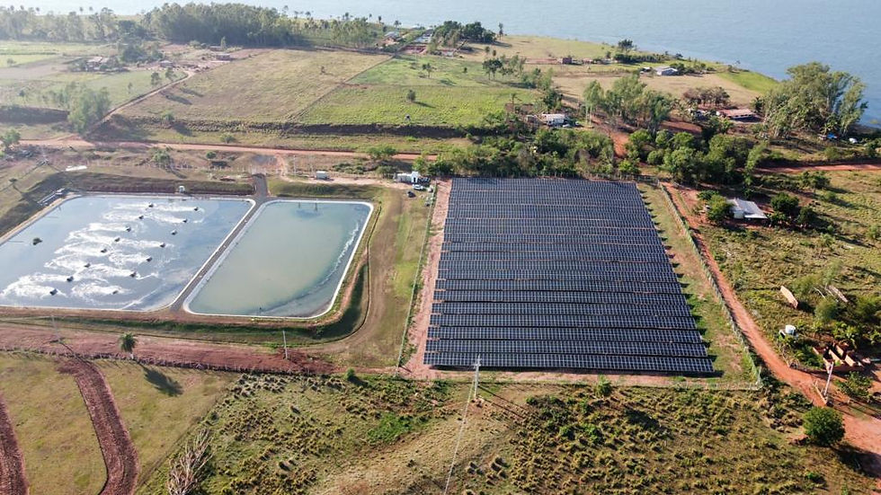 Miniatura: Fornecedor Kyoservice Energia Solar
