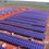 Miniatura: Lista de Empresas de Energia Solar em BH