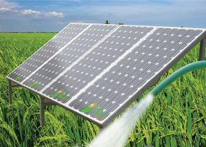 Miniatura: Agrovoltaica