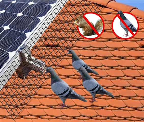 Thumbnail: Tela Anti-pombos para placa solar Inoxidável com PVC