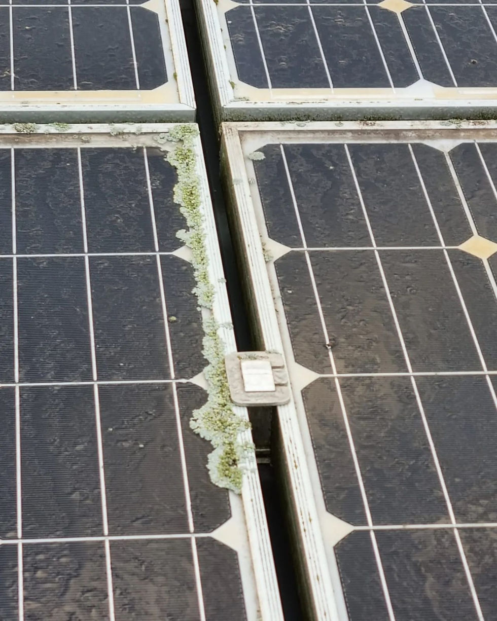 Miniatura: Escova de Limpeza de Placa Solar