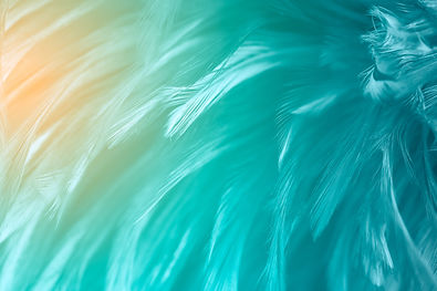shutterstock_1127441876.jpg