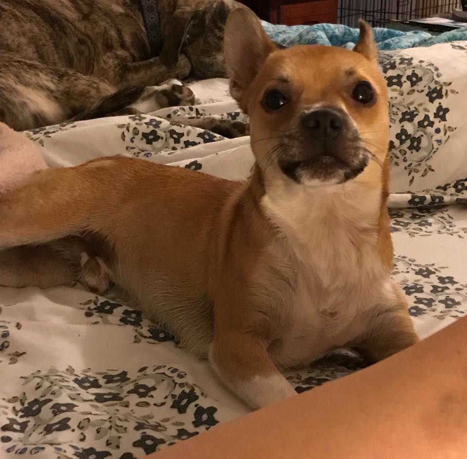 Cisco