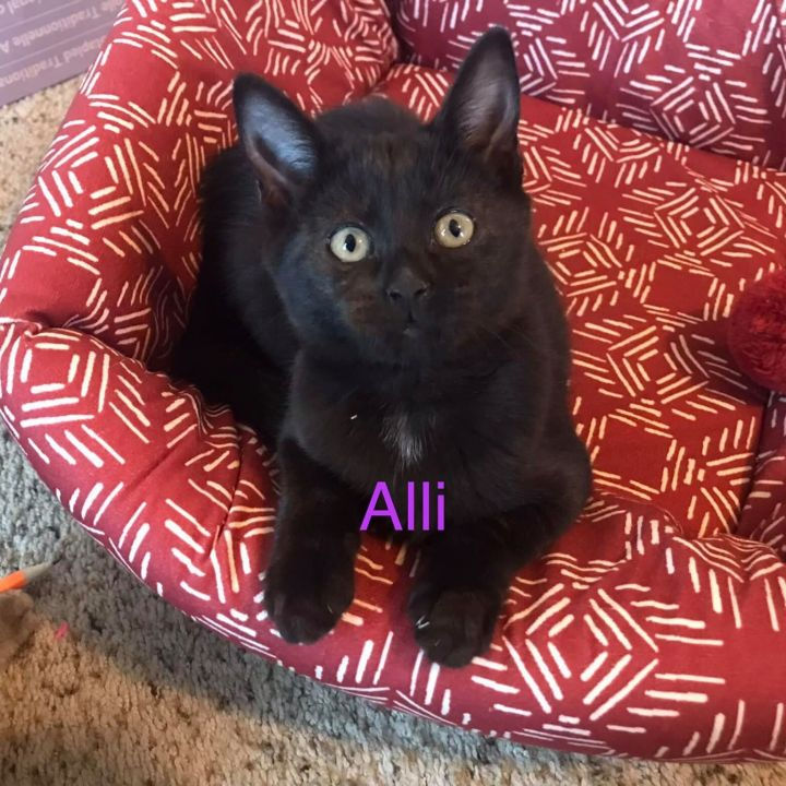 alli