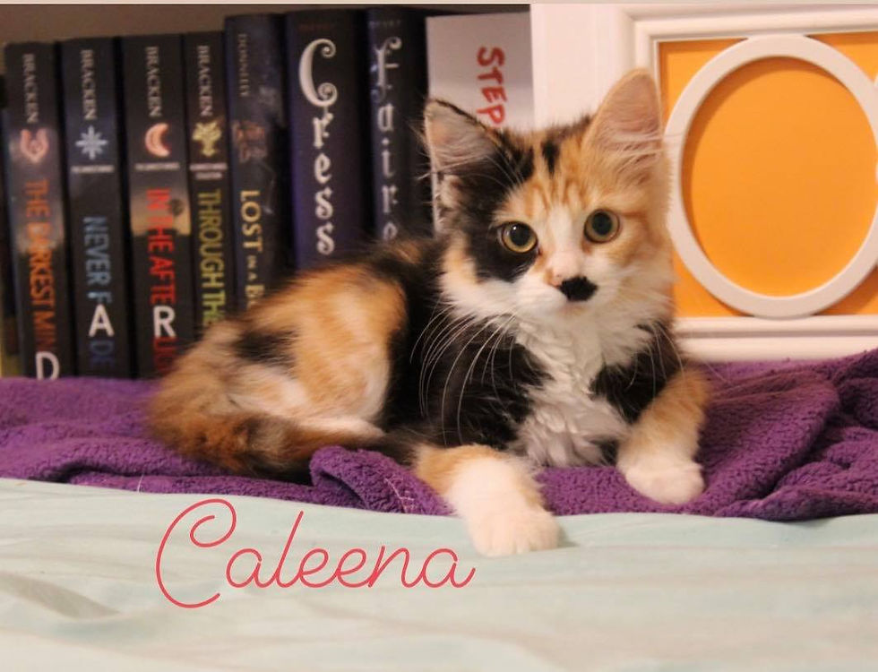Caleena