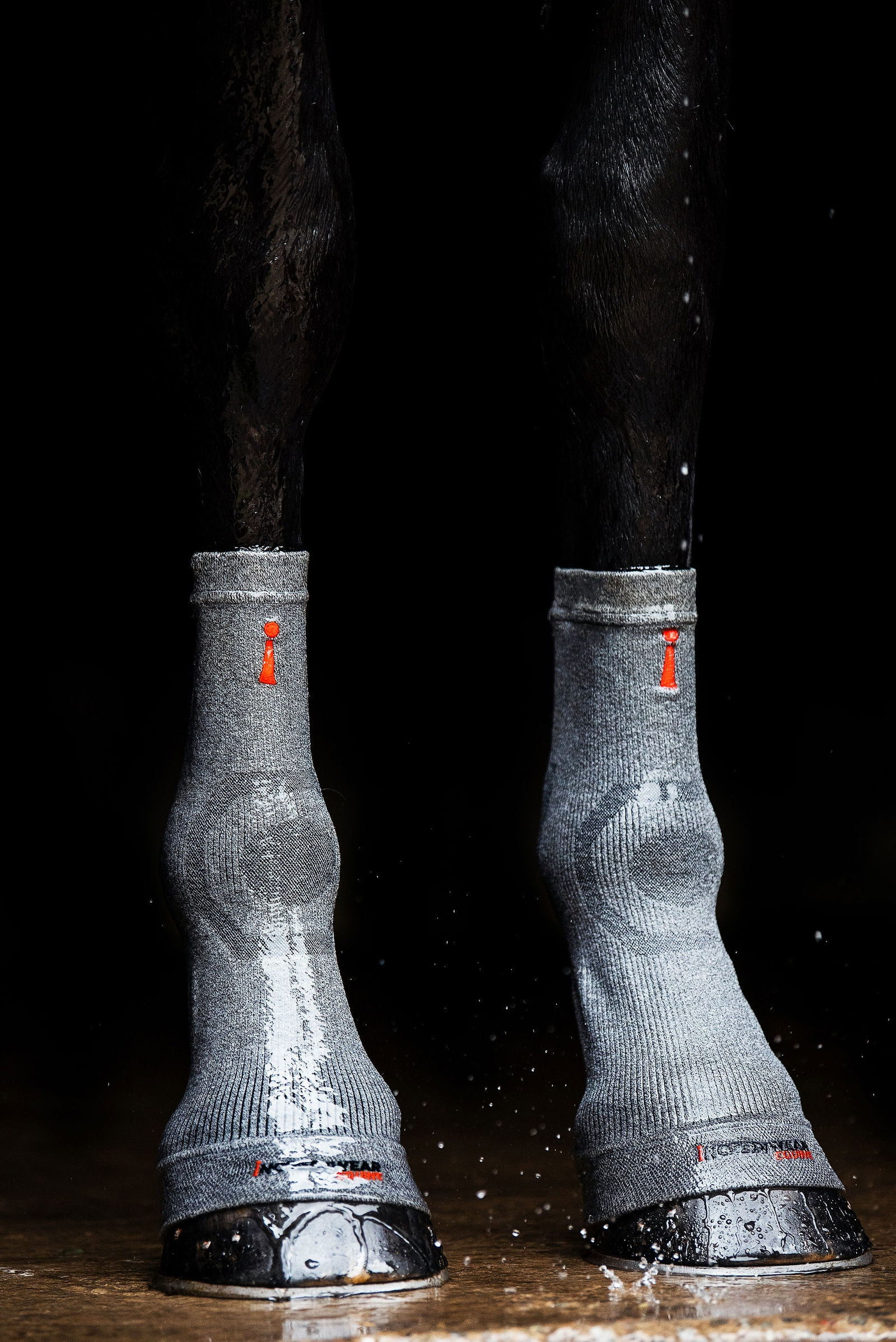 CIRCULATION HOOF SOCKS