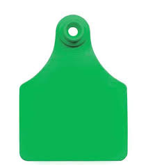 Modalex Tags ALLFLEX MAXI FEMALE TAG GREEN 100 PACK | Springsure Rural