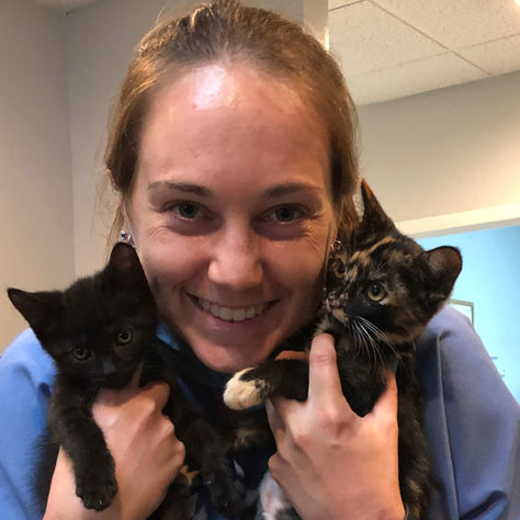 What to Look for When Hiring a Relief Veterinarian in Northeast Florida
